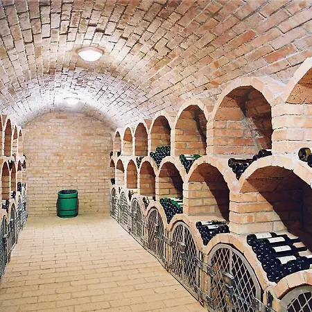 Kravi Hora 4* Bořetice
