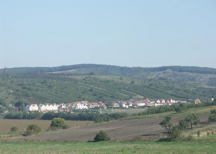 Hotel Kraví Hora 4*